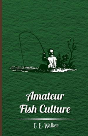 Cover of Amateur Fish Culture