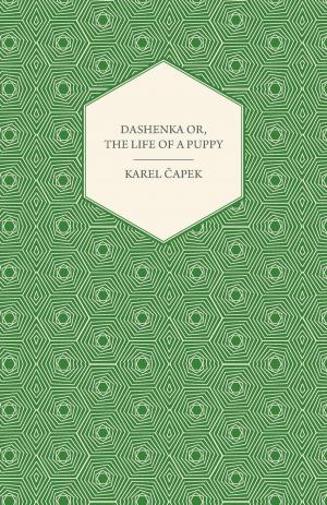 Cover of the book Dashenka Or, The Life of a Puppy by Walter Armstrong