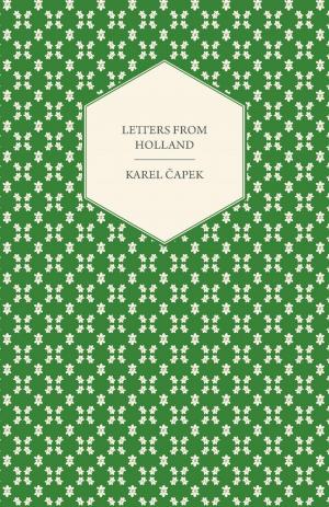 Cover of the book Letters from Holland by Kay Hardy