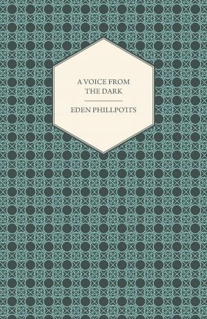 Cover of the book A Voice from the Dark by DCS