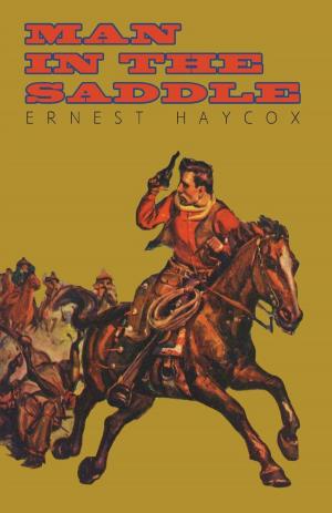 Cover of the book Man in the Saddle by Frank Beers