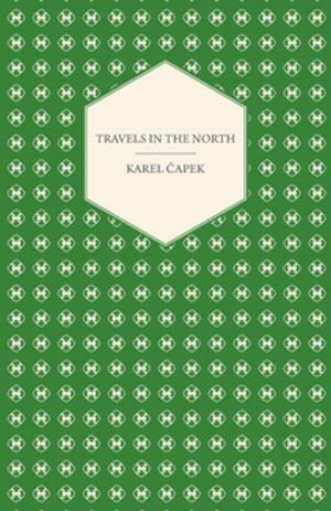 Cover of the book Travels in the North - Exemplified by the Author's Drawings by Arthur Conan Doyle