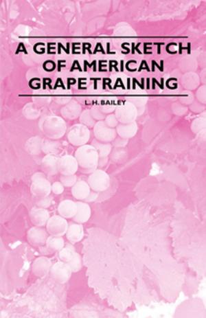 Cover of the book A General Sketch of American Grape Training by H. Thornely