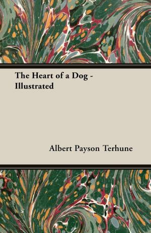 Book cover of The Heart of a Dog - Illustrated
