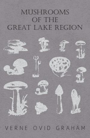 bigCover of the book Mushrooms of the Great Lake Region - The Fleshy, Leathery, and Woody Fungi of Illinois, Indiana, Ohio and the Southern Half of Wisconsin and of Michigan by 