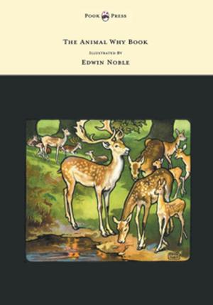Cover of The Animal Why Book - Pictures by Edwin Noble