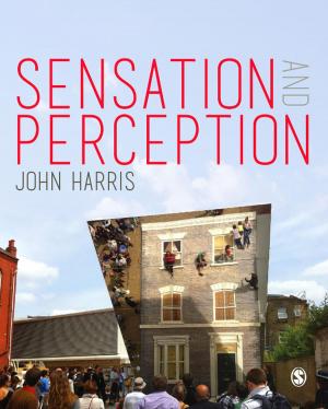 Cover of the book Sensation and Perception by Douglas J. Llewellyn