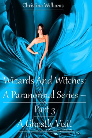 Cover of Wizards And Witches: A Paranormal Series – Part 3 – A Ghostly Visit