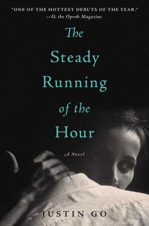 Cover of the book The Steady Running of the Hour by Charlotte Chandler