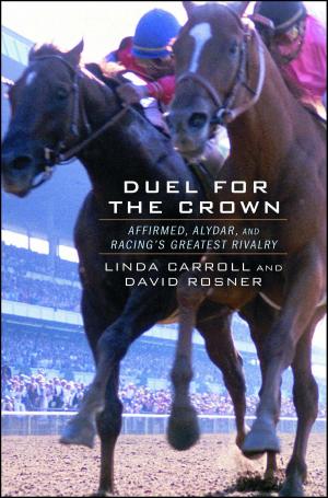 Book cover of Duel for the Crown