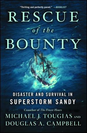 Cover of the book Rescue of the Bounty by Carol Higgins Clark