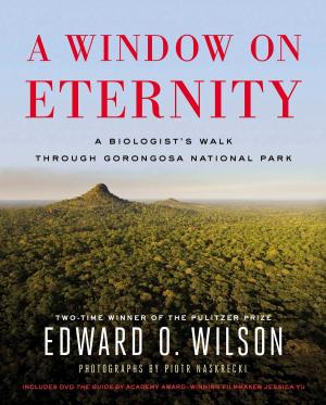 Book cover of A Window on Eternity