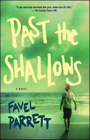 Cover of the book Past the Shallows by Karin Tanabe