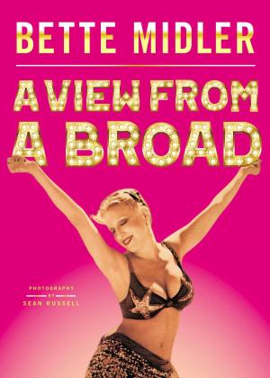 Cover of the book A View from A Broad by Han Han