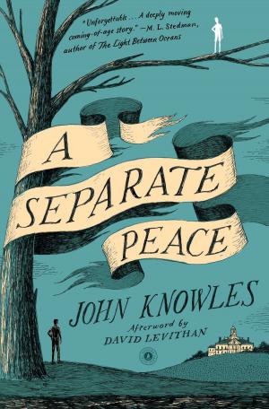 bigCover of the book A Separate Peace by 