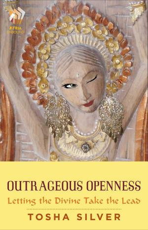 Cover of the book Outrageous Openness by Lisa Duffy