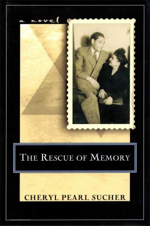 Cover of the book The Rescue of Memory by James Tate