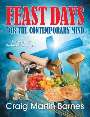 Book cover of Feast Days for the Contemporary Mind