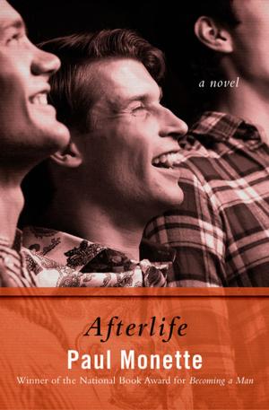 Cover of the book Afterlife by Charlotte Carter