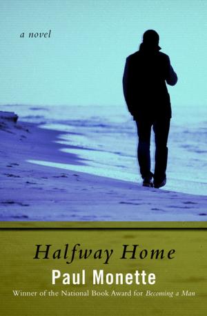 Cover of the book Halfway Home by Tanith Lee