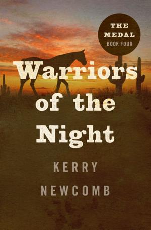Cover of the book Warriors of the Night by David Wellington