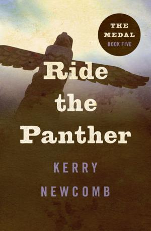 Cover of the book Ride the Panther by Arthur Hailey