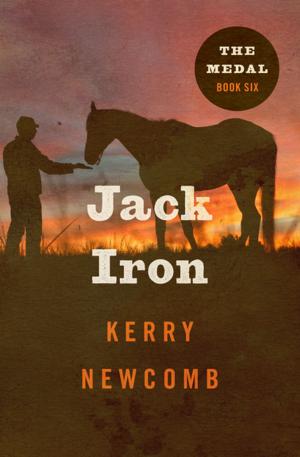 Cover of the book Jack Iron by Jim Lebenthal