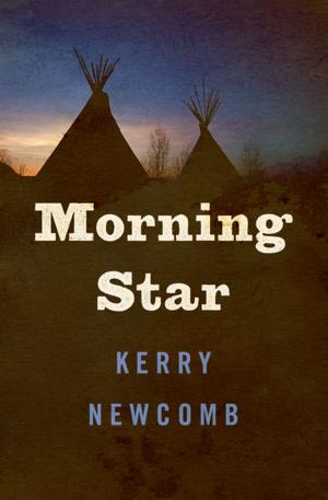 Cover of the book Morning Star by Brian Freemantle