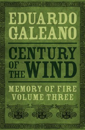 Cover of the book Century of the Wind by Bruce H. Thorstad