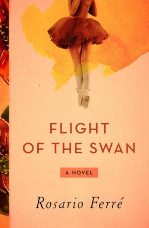 Cover of the book Flight of the Swan by John Jakes