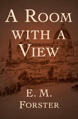 Cover of the book A Room with a View by David Lee Stone