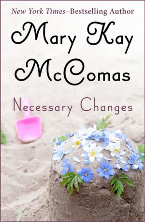 Cover of the book Necessary Changes by Joyce Johnson