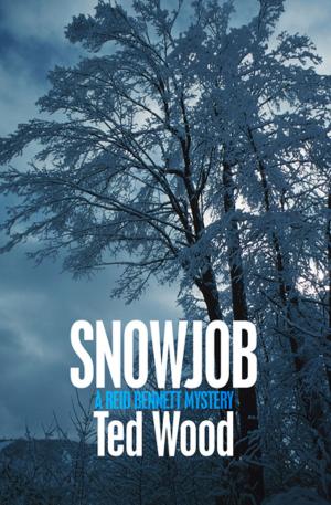 Cover of the book Snowjob by Amanda Scott