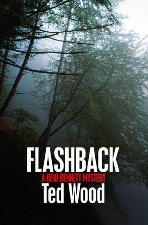 Cover of the book Flashback by George Zebrowski