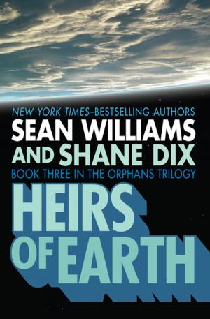 Cover of the book Heirs of Earth by L.E. Mullin