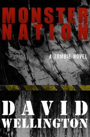 Cover of the book Monster Nation by Dorothy Salisbury Davis