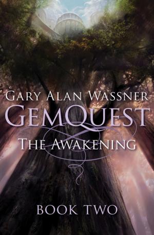 Cover of the book The Awakening by J. E. Sandoval