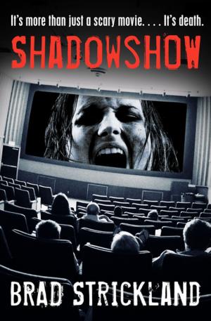 Cover of the book ShadowShow by Oisín McGann