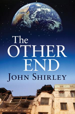 Cover of the book The Other End by Madeleine L'Engle