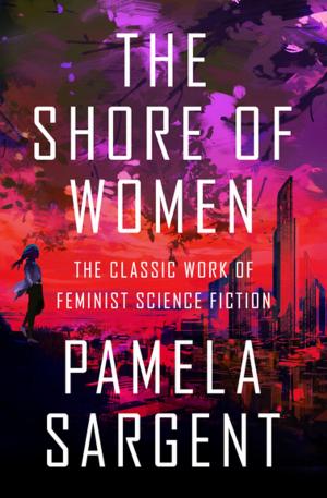 Cover of the book The Shore of Women by Amber Basso