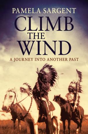 Cover of the book Climb the Wind by Robert Silverberg