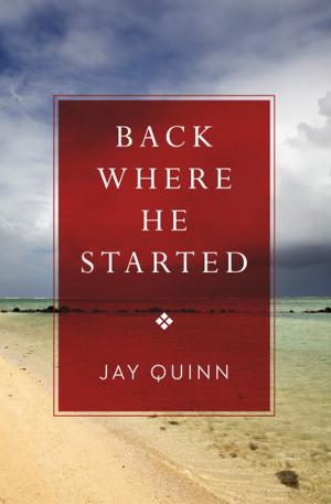 Cover of the book Back Where He Started by Chris Wiltz
