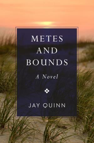 Cover of the book Metes and Bounds by Paul Lederer