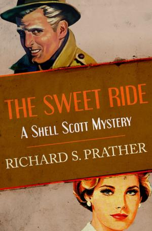 bigCover of the book The Sweet Ride by 
