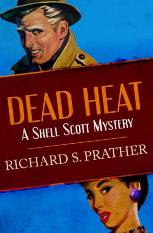 Cover of the book Dead Heat by Lynette Vinet