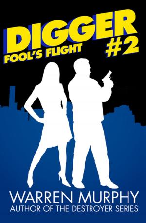 Cover of the book Fool's Flight by Jay Quinn
