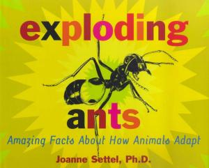 Cover of the book Exploding Ants by James Howe