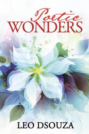 Cover of the book Poetic Wonders by J.R. Kokandakar