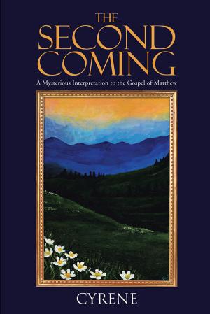 Cover of the book The Second Coming by Syed Zayyan Ahmed