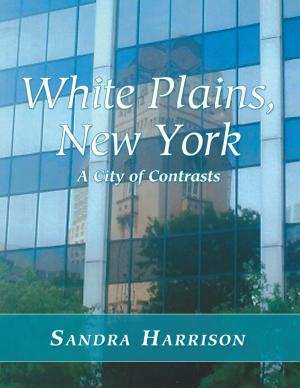 Cover of the book White Plains, New York: A City of Contrasts by Georgiana Andersen